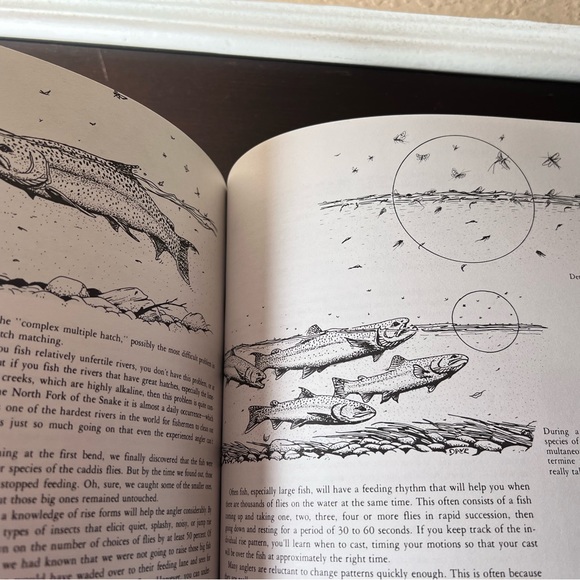 Vintage 1975 “Fly Fishing Strategy” by Doug Swisher and Carl Richards, Illustrat - Picture 8 of 10